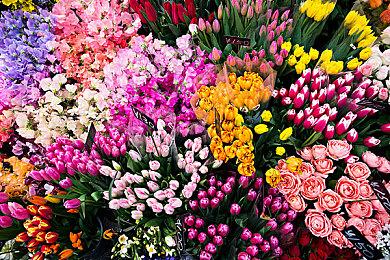 今日正式发售《转生为领主开始冒险吧》异世界征程一触即发！